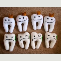 من ماذا تتكون الأسنان؟
